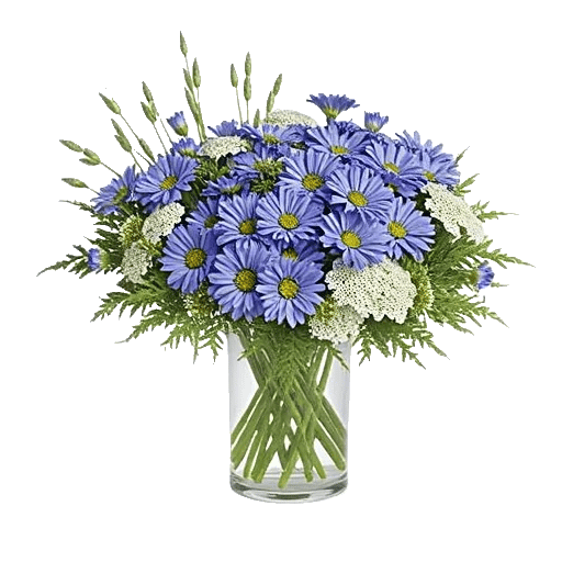 Fresh Meadow Blooms