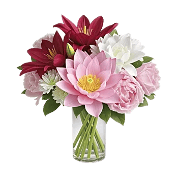 Graceful Lily Display