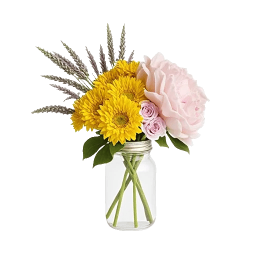Petal Radiance Bliss