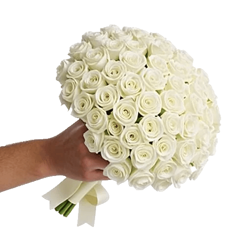 Rosemary Bloom Elegance