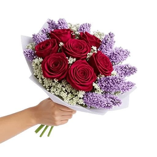 Crimson Rose Elegance