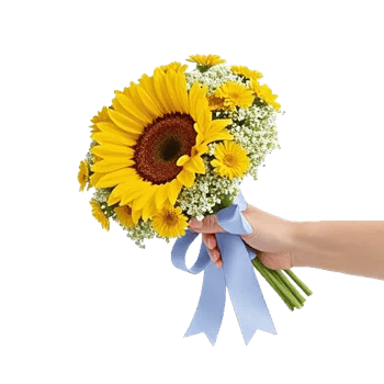 Twinkling Sunflower Dance