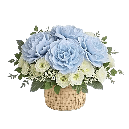 Serene Petal Harmony