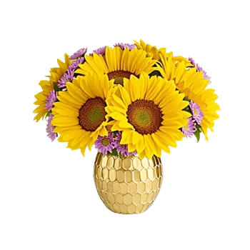 Golden Bloom Radiance