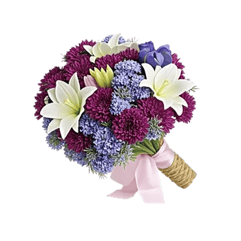 Blossom Petal Serenity