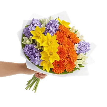 Blossom Harmony Display