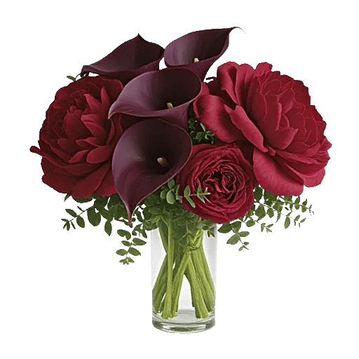 Elegant Calla Lilies