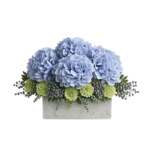 Cobalt Bloom Mix