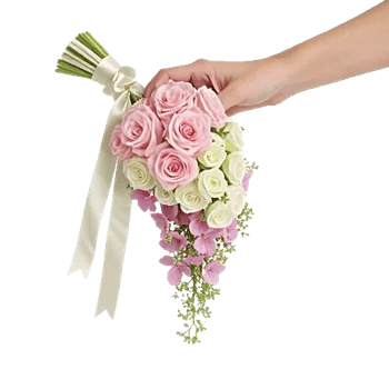 Delicate Petal Cascade