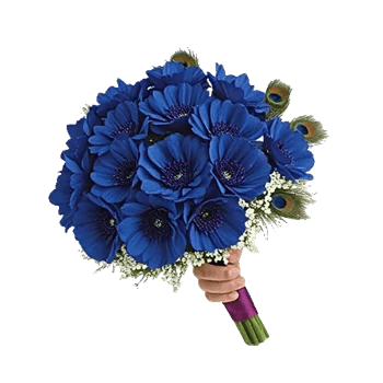 Peony Petal Harmony