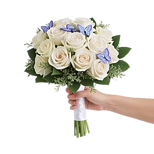 Blushing Rose Symphony