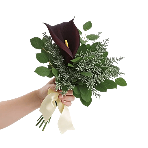 Elegant Calla Lilies