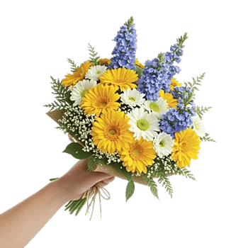 Golden Petal Harmony