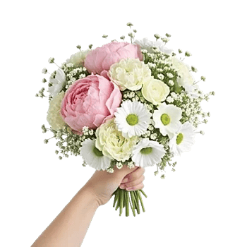 Peony Petal Harmony