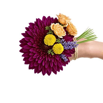 Crimson Blossom Harmony