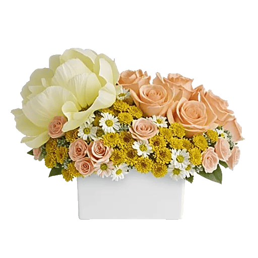 Petal Radiance Bliss