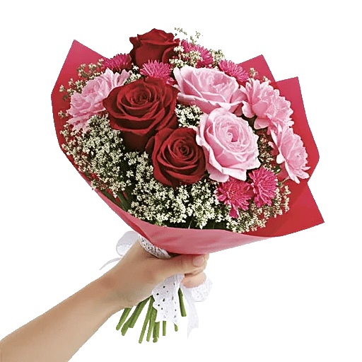 Crimson Rose Elegance