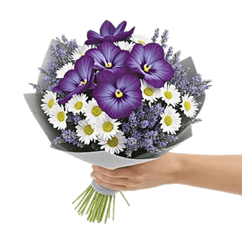 Blossom Petal Serenity