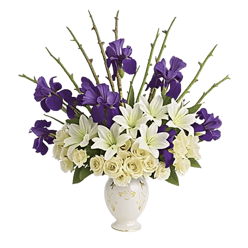 Ivory Blossom Radiance