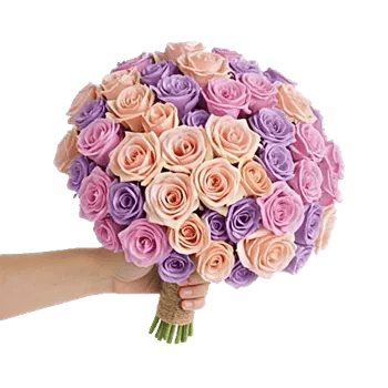 Blushing Rose Symphony