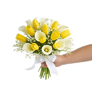 Elegant Calla Lilies