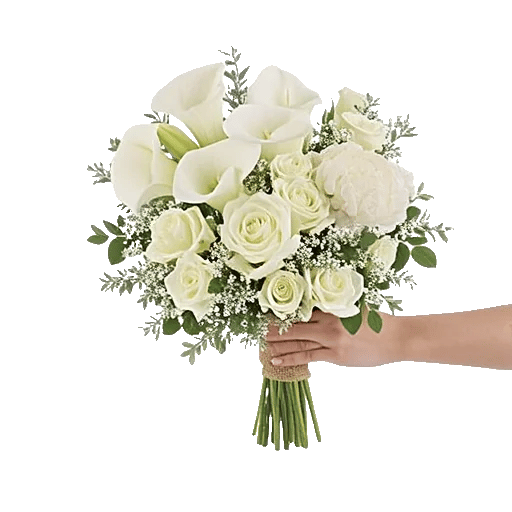 Elegant Calla Lilies