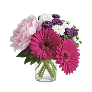 Petal Radiance Bliss