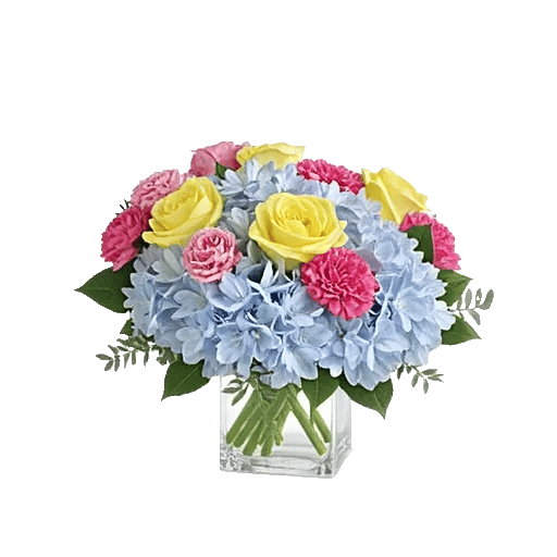 Serene Petal Harmony