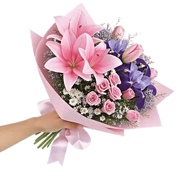 Blushing Rose Symphony