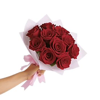 Crimson Rose Elegance