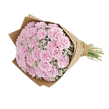 Pastel Pink Roses