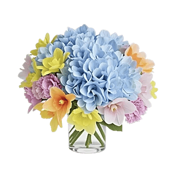 Azure Sky Blooms