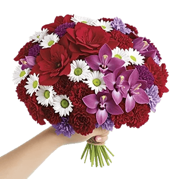 Crimson Blossom Harmony