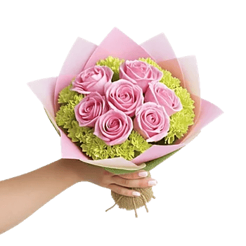 Pastel Pink Roses