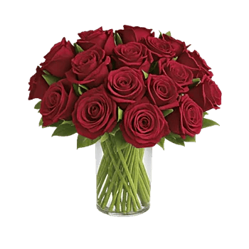 Crimson Rose Elegance