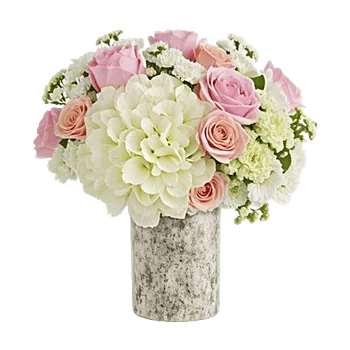 Ivory Blossom Radiance