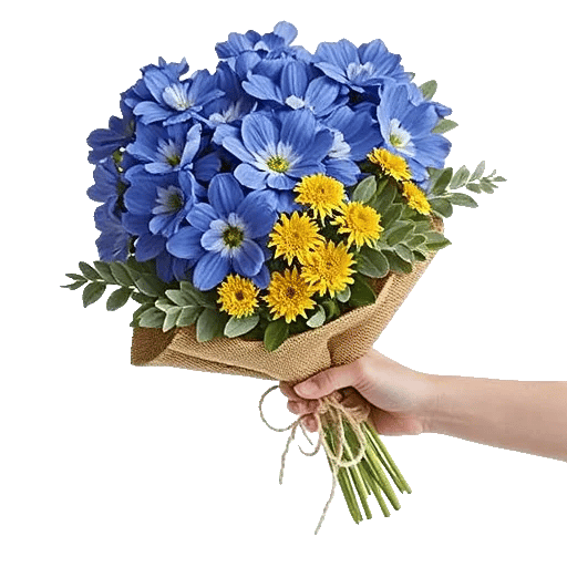 Sapphire Bloom Whisper
