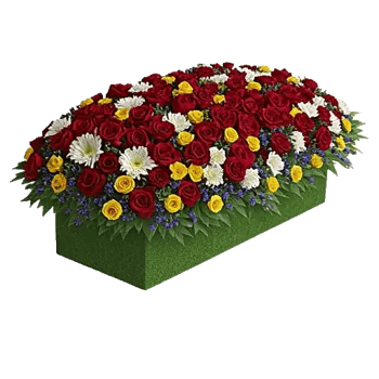 Delicate Petal Cascade