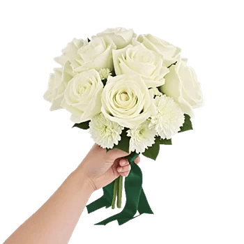 Ivory Garden Grace