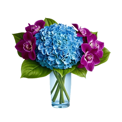 Sapphire Bloom Whisper