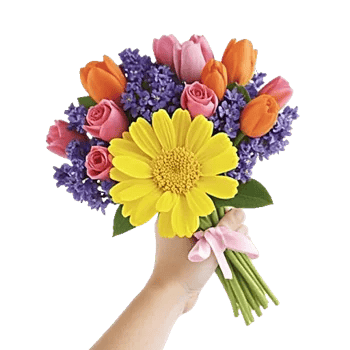 Blossom Harmony Display