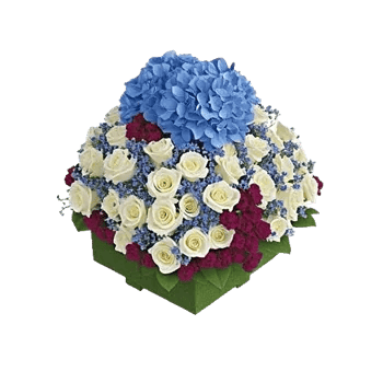 Ivory Blossom Radiance