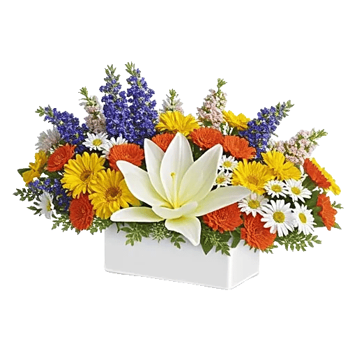 Graceful Lily Display