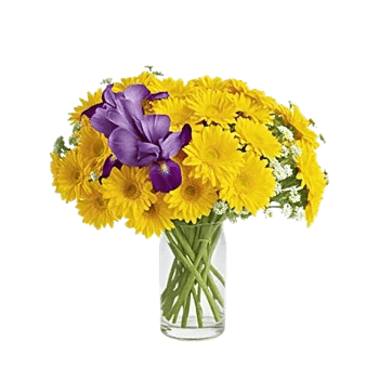 Ivory Blossom Radiance