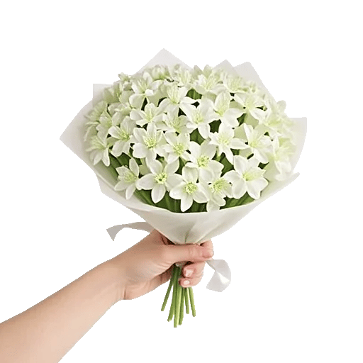 Delicate Petal Cascade