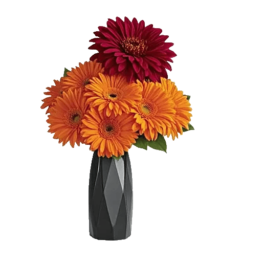 Deep Red Foliage