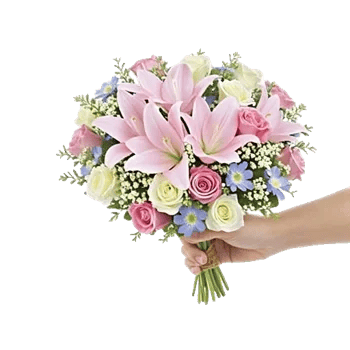 Blossom Petal Serenity