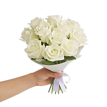Pearl Rose Elegance