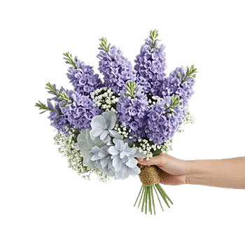 Pastel Blossom Grace