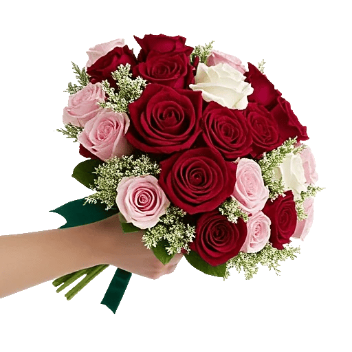 Crimson Rose Elegance